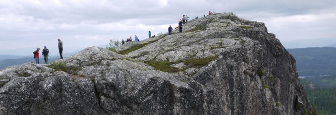 Tekslehogget